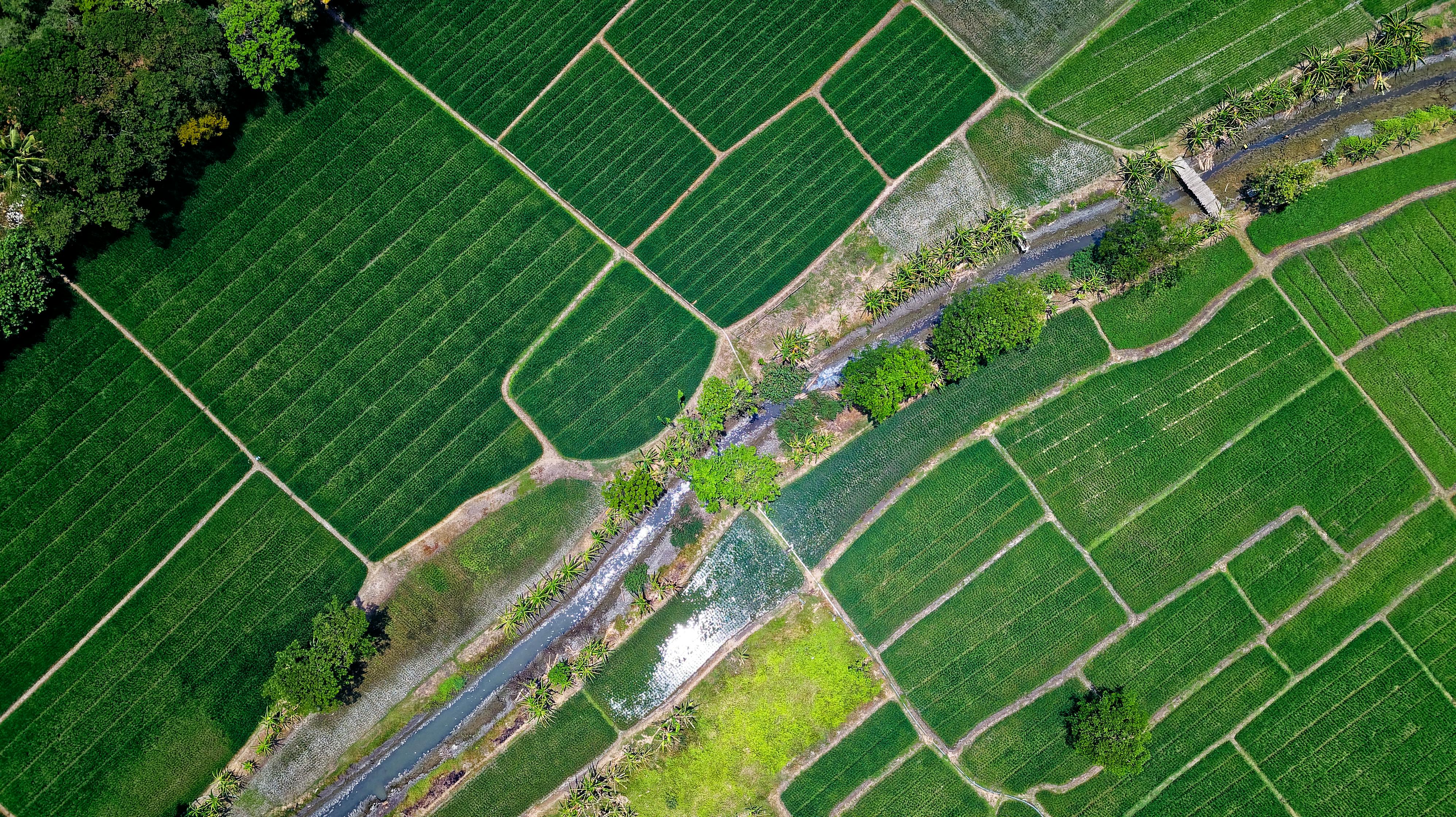image of Land & Plots